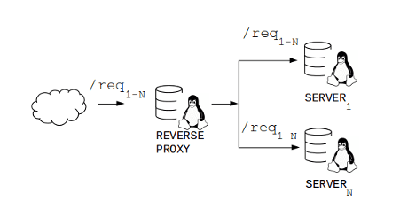x8 Reverse Proxy